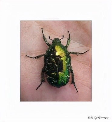 农村80后才看得懂的图和知道的经历