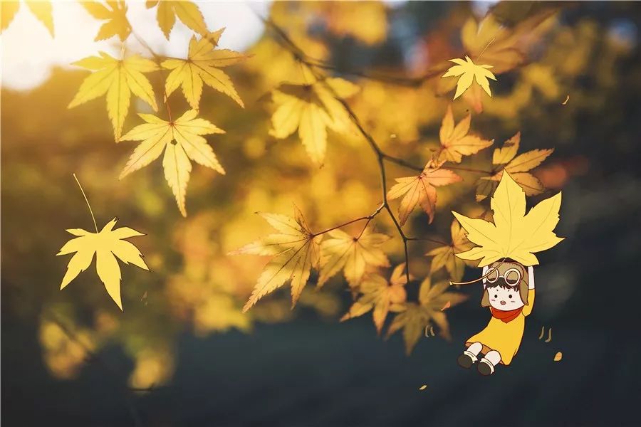 小学生作文中的优秀排比句,小学语文作文常用排比句子