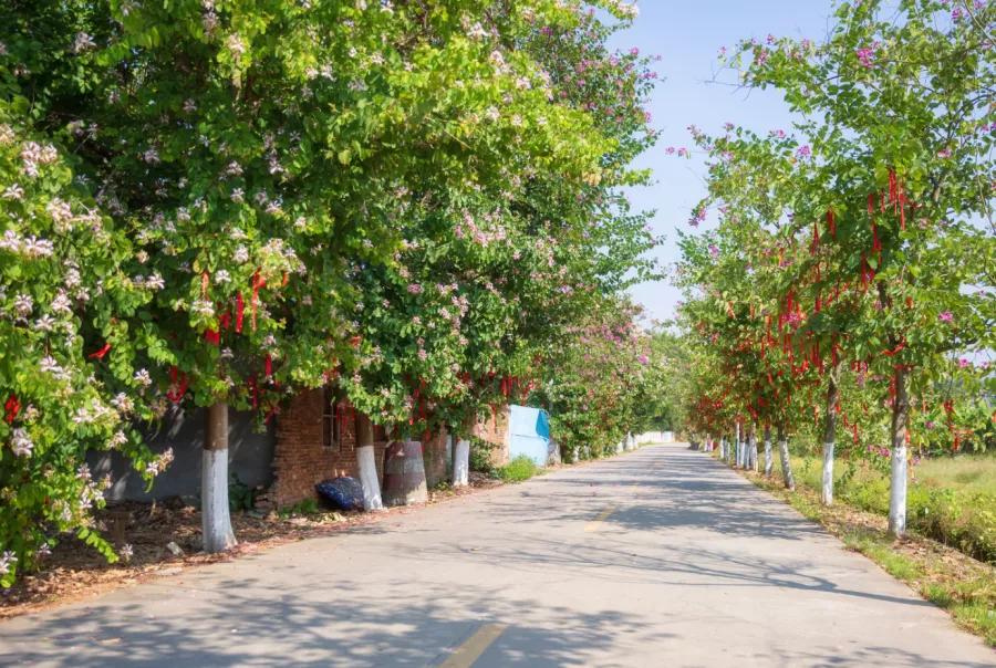 楹﹀厓鎽勫奖,楹﹀厓瑙嗛