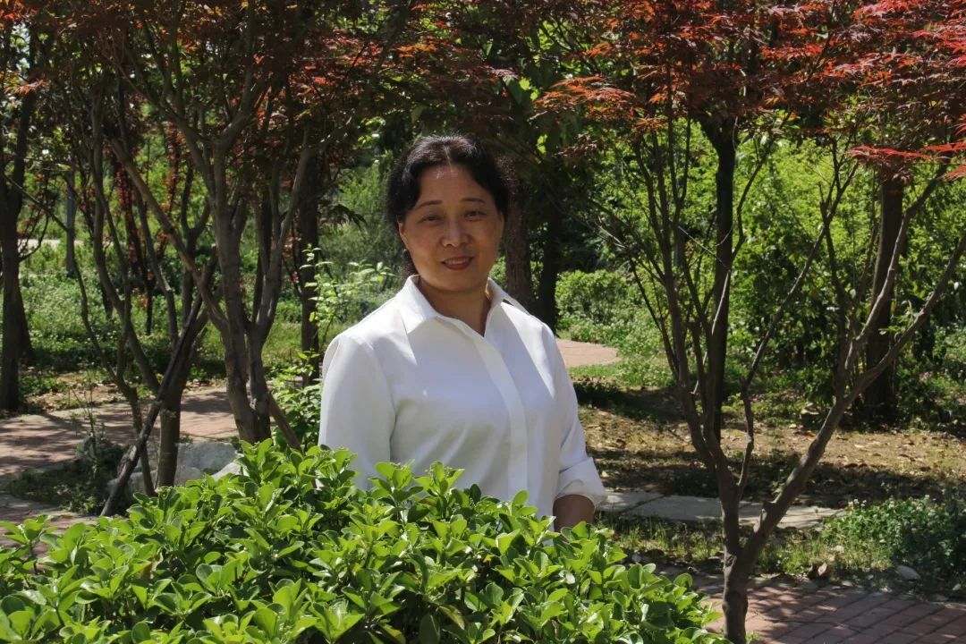 羊山外国语中学2024年招生时间,羊山外国语中学招生热线