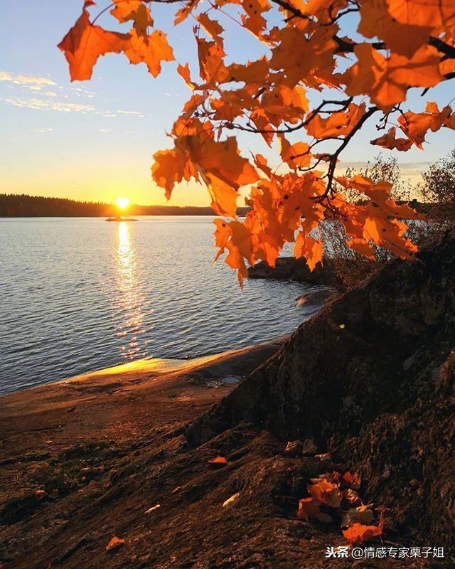 对付无赖就得用极端手段,对付无赖就得简单粗暴