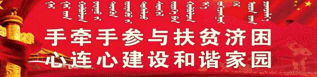 全国民族团结进步示范集体,全国民族团结进步创建表彰大会
