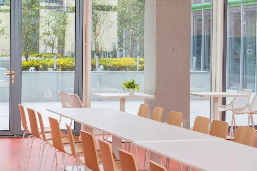 深圳国际幼儿园费用都有哪些,这所深圳国际学校究竟有多硬核