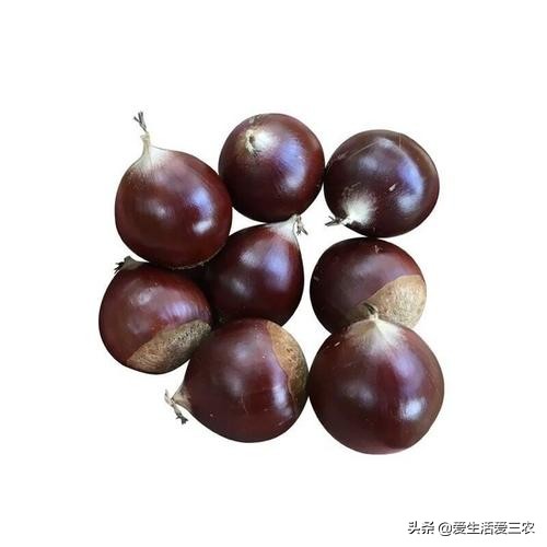 秋天田间成熟的野果,江西秋季野果