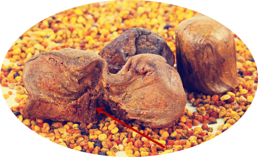 蜂胶和大蒜油哪个抗菌抗癌好,蜂胶价格为什么差这么多