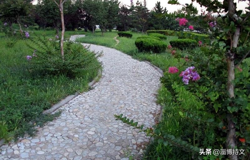 热爱生活从每日跑步开始,跑步让我感受健康和快乐