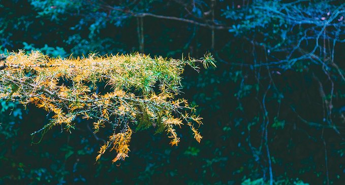 一起游玩泰顺,小众旅游泰顺