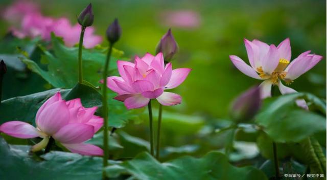 免疫药物不良反应如何处理好,滥用药物怎么恢复