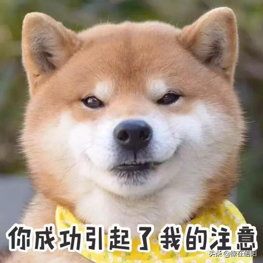 信阳平均工资最新出炉,河南信阳平均工资是多少