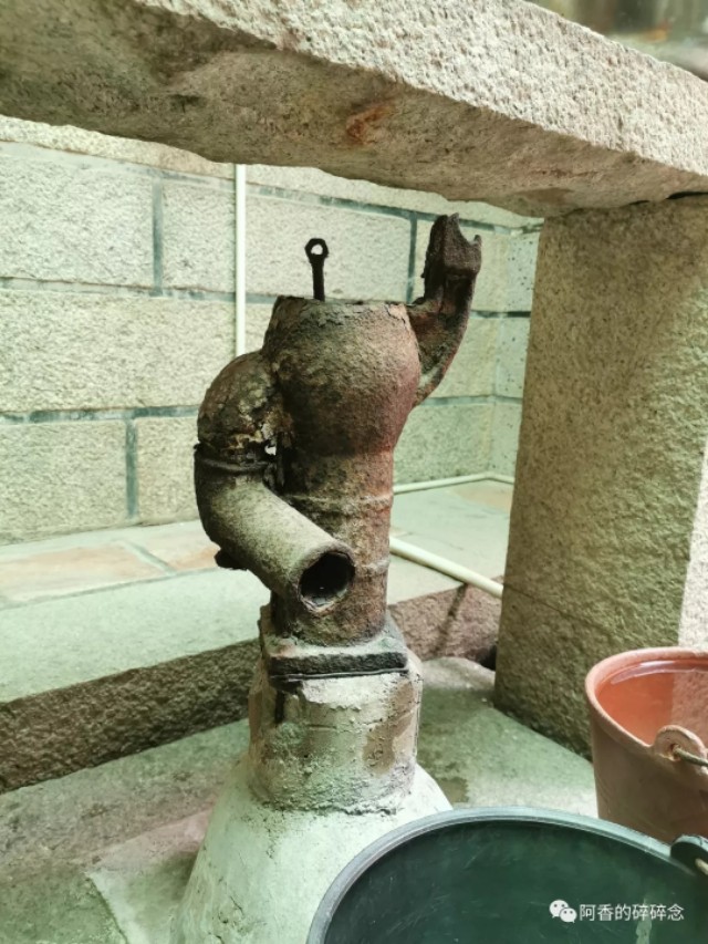 东园往事2018,东园往事全集