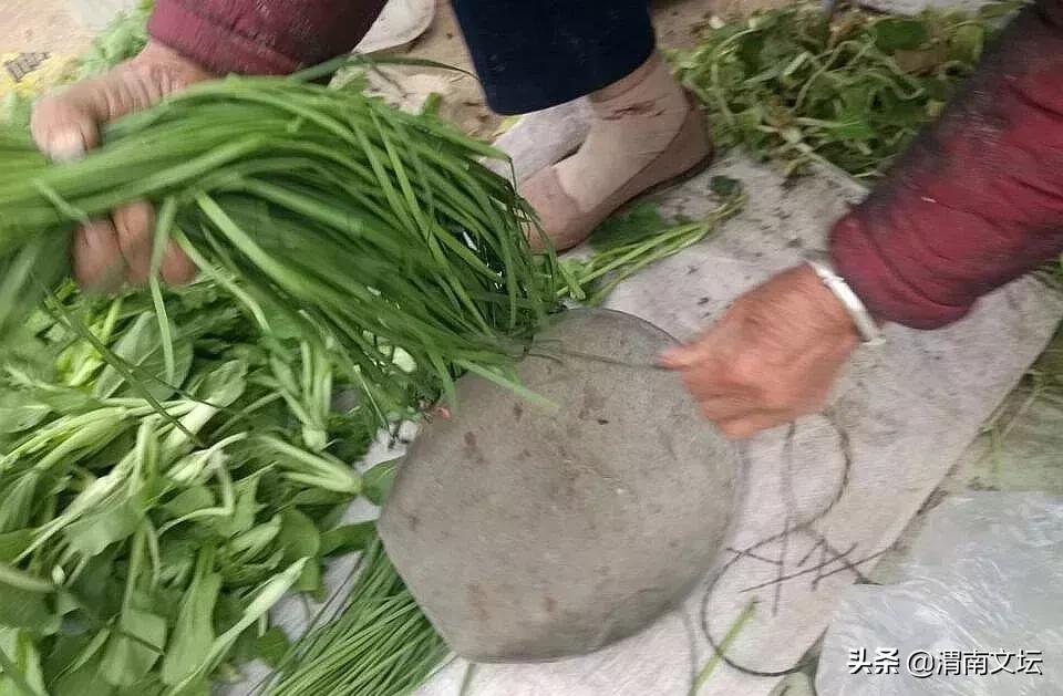 渭南阳郭贺家，我可爱的家乡