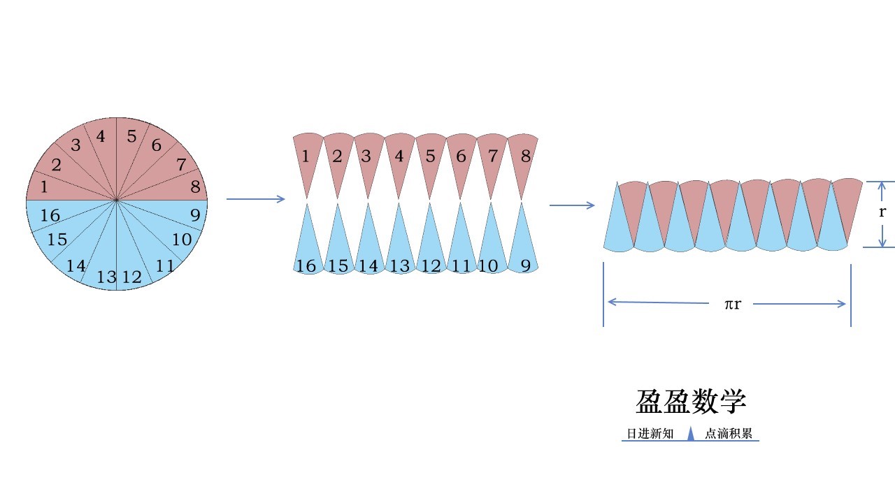 洋葱学院数学六年级上册圆的面积,六年级圆的面积周长公式解题大全