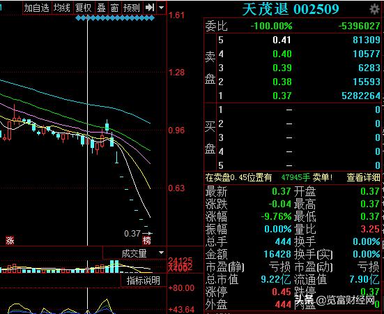 天广中茂千股千评,天广中茂公司运营情况