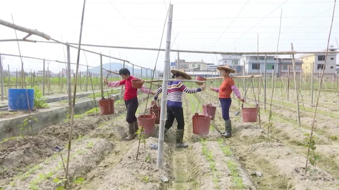 长泰发展最新消息,长泰经济快速发展
