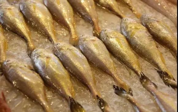 宁波杭州湾世纪城在哪个区,宁波杭州湾新区发展历程