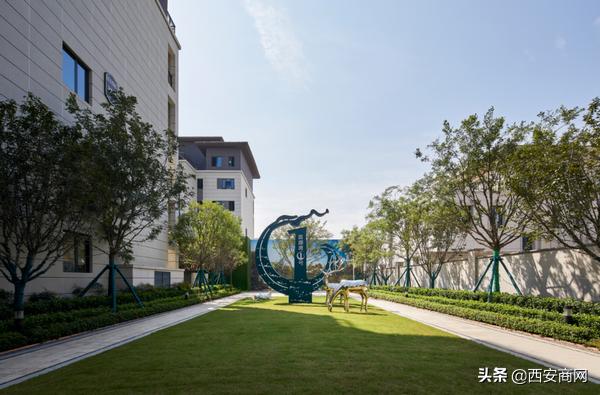 碧桂园“浐灞双星”闪耀||于城市浮尘中筑一处世外桃源