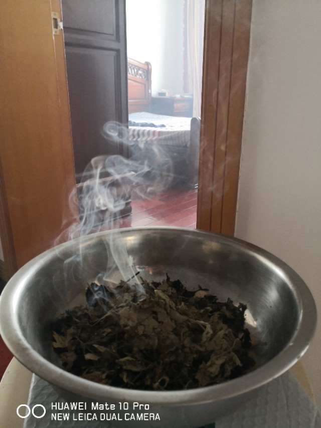 用艾草熏屋子消灭臭虫,用艾草熏屋子有用吗