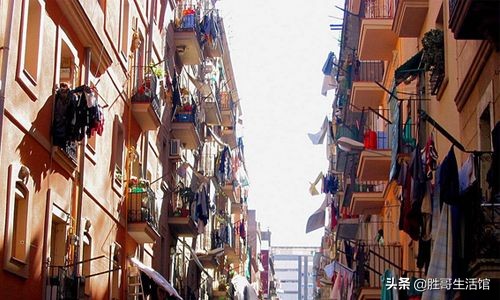 衣服有异味怎么去除最好方法,涂了妊娠油衣服有异味怎么去除