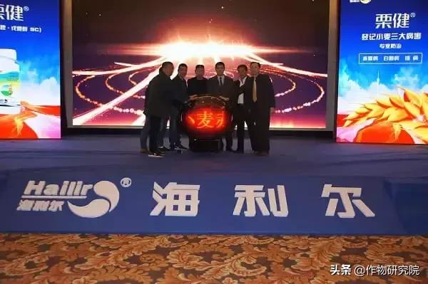 赤霉病白粉病锈病哪个减产厉害,赤霉病和小麦白粉病