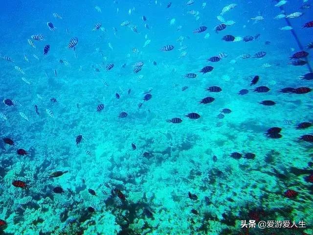 埃及旅游攻略自由行攻略,埃及旅游景点攻略大全