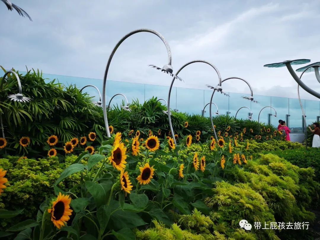 无旅行不暑假亲子游胜地新加坡,新加坡马来西亚亲子游春节