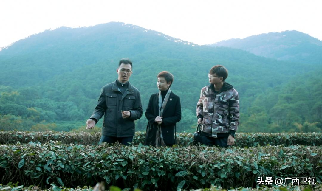 广西构建对外开放新支点,广西对外开放提出什么发展战略