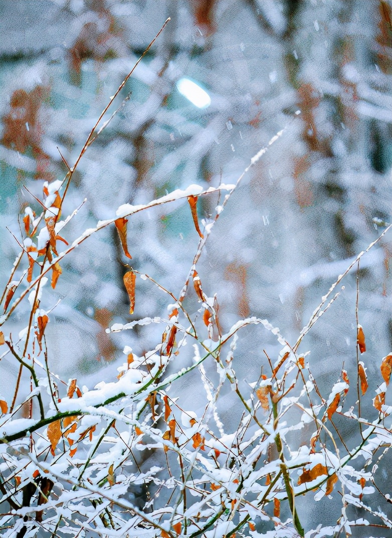 关于初雪的唯美现代诗词,关于初雪的诗句古诗名句