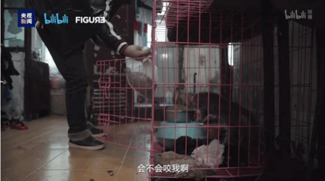 签下生死合约,签生死协议书有什么用