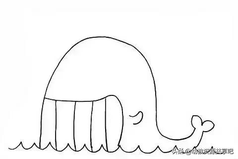 100个海洋动物简笔画彩色,海洋动物简笔画大全简单又漂亮