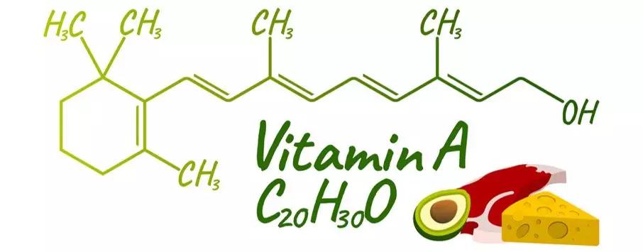 补维生素b猫咪不容易得猫癣,食补补充猫咪的营养
