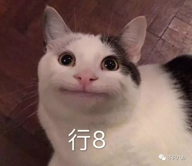 张庭夫妇旗下的微商成员,张庭的微商团队有多大