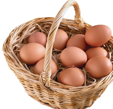 怎么用简单的食材做出最美味的菜,最简单的食材做成最美味的菜