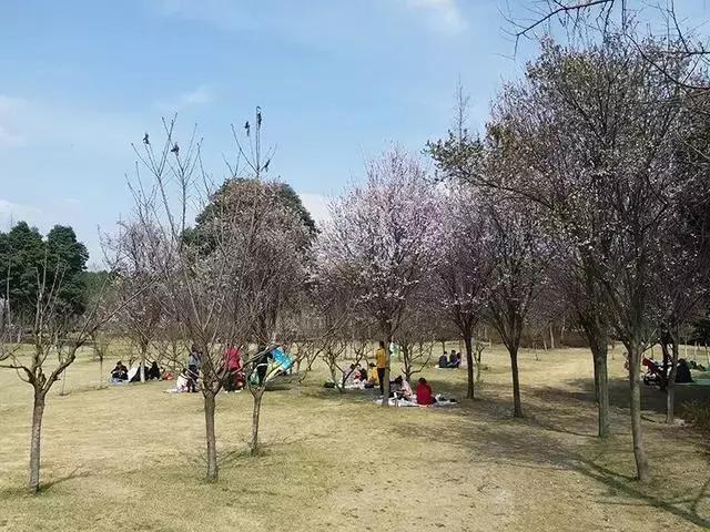 双流新修的风景区,双流变化