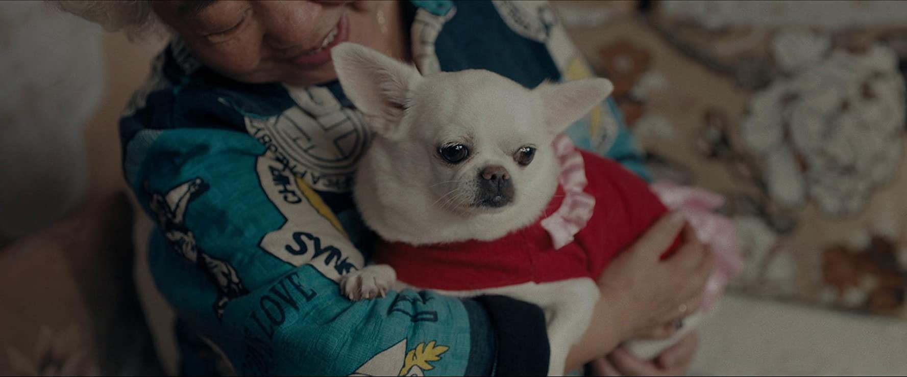 电影别告诉她短片,电影别告诉她创作