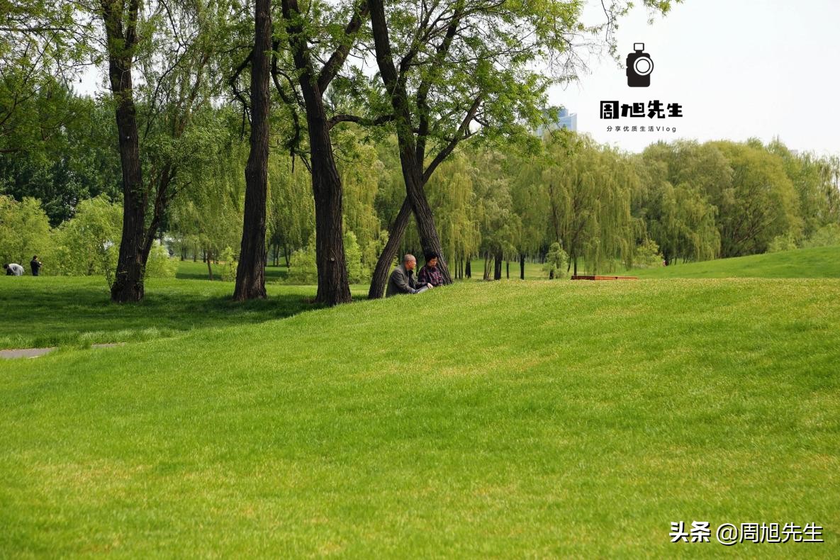 盛京游记沈阳滨河休闲公园,沈阳盛京旅游项目