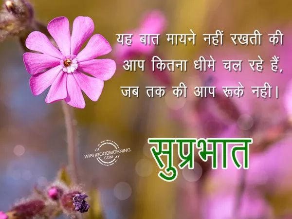 印度人表情包,印度人的表情包