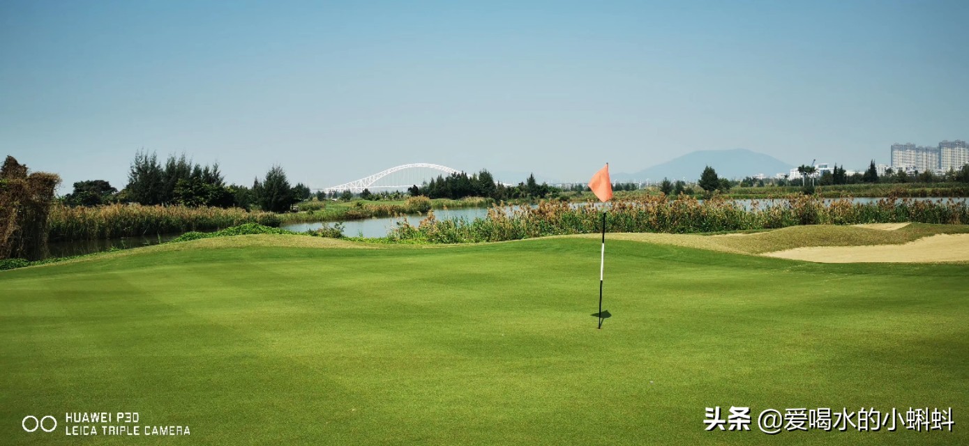 高尔夫球规则及玩法,4分钟了解高尔夫球怎么玩