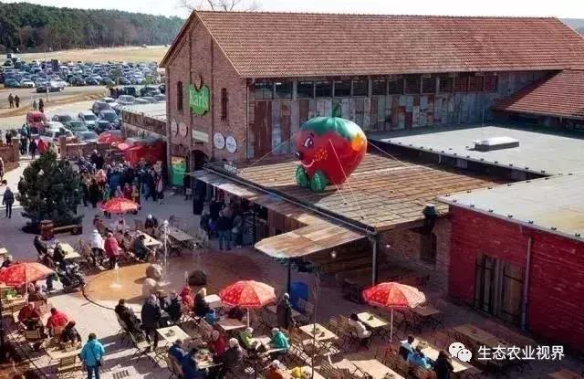 用一颗草莓吸引5百万游客,开5家主题乐园、4家超市、300个草莓屋