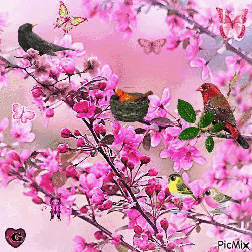 我的家庭相册书籍,我的家庭相册黑白人像