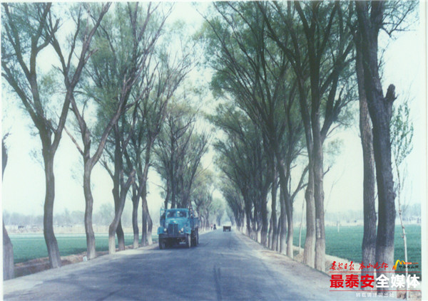一条条公路,一条条公路纵横交错