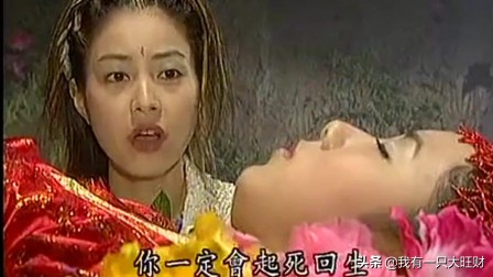 天地传说之鱼美人牡丹清白被毁,天地传说之鱼美人河蚌