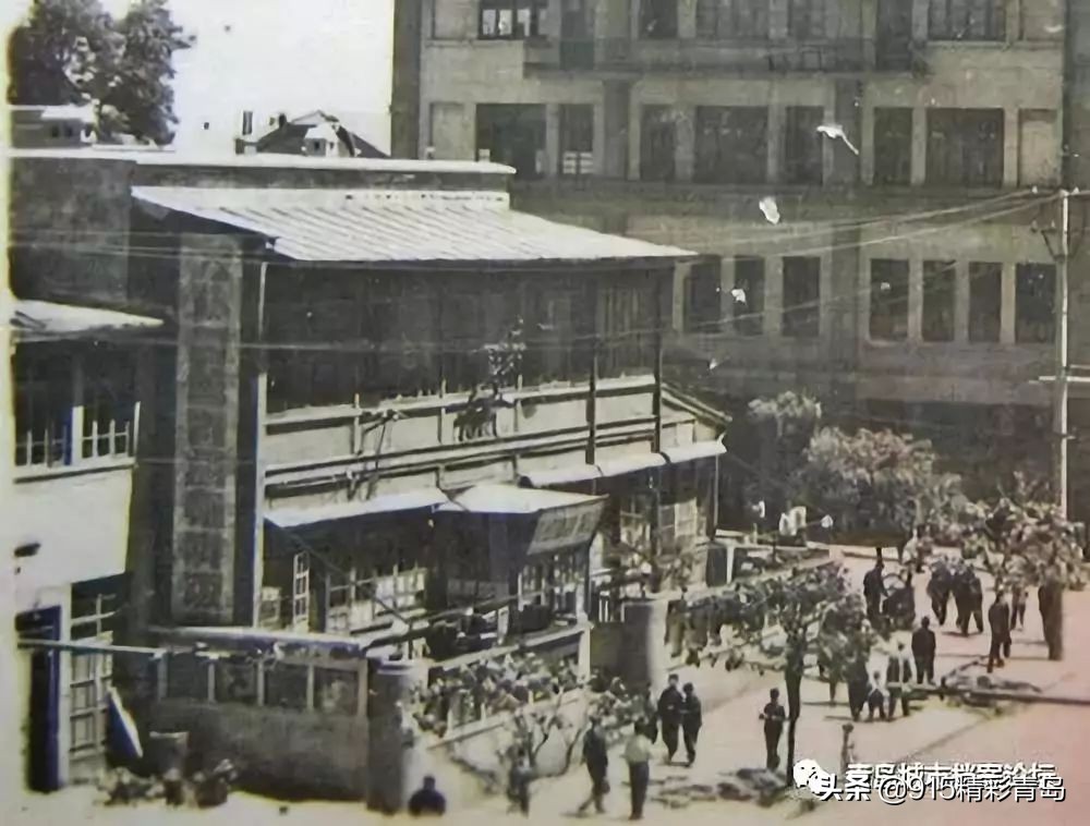 那些老青岛记忆,青岛老字号有哪四个