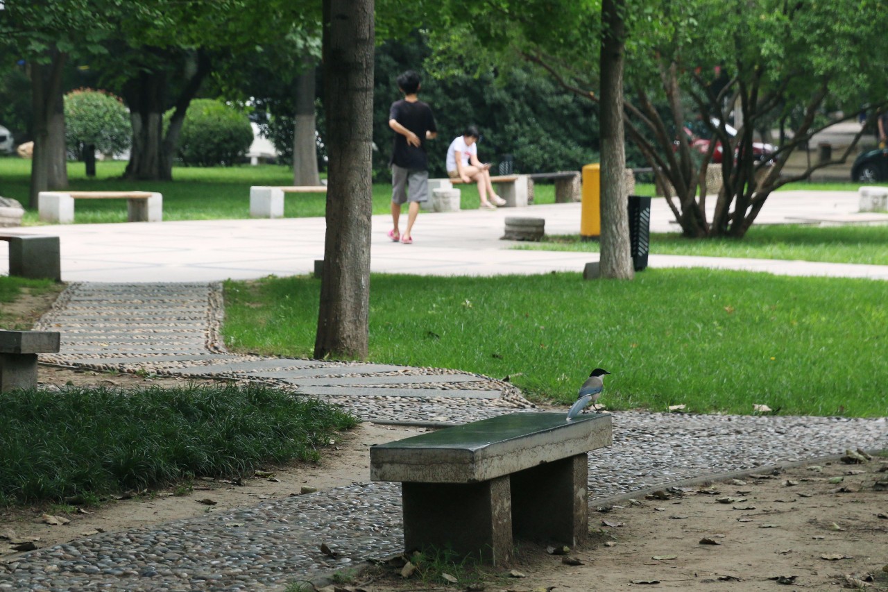 西安最被低估的大学西安工业大学,西安建筑科技大学实力怎么样