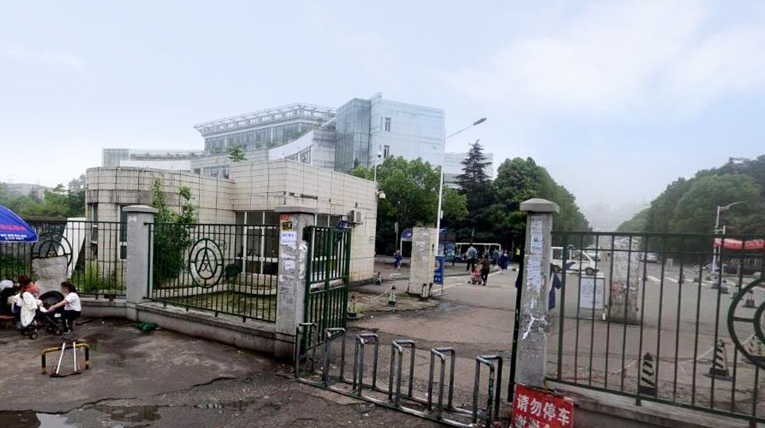 武汉南湖边有哪些大学,武汉大学门口的古街