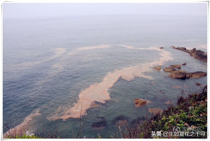 深圳市杨梅坑美人鱼拍摄基地,深圳大鹏杨梅坑美人鱼拍摄地点