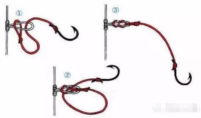 一次可以繁殖多少条鱼,一次最多能钓多少条鱼