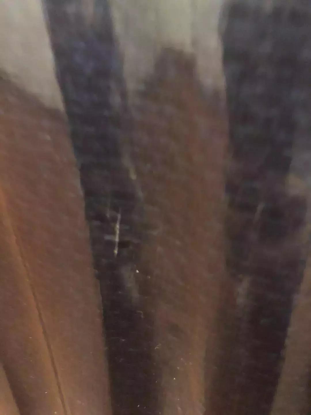 网易考拉新秀丽是正品吗,考拉买到新秀丽