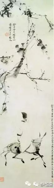 写意花鸟吴昌硕,徐渭写意花鸟菊花
