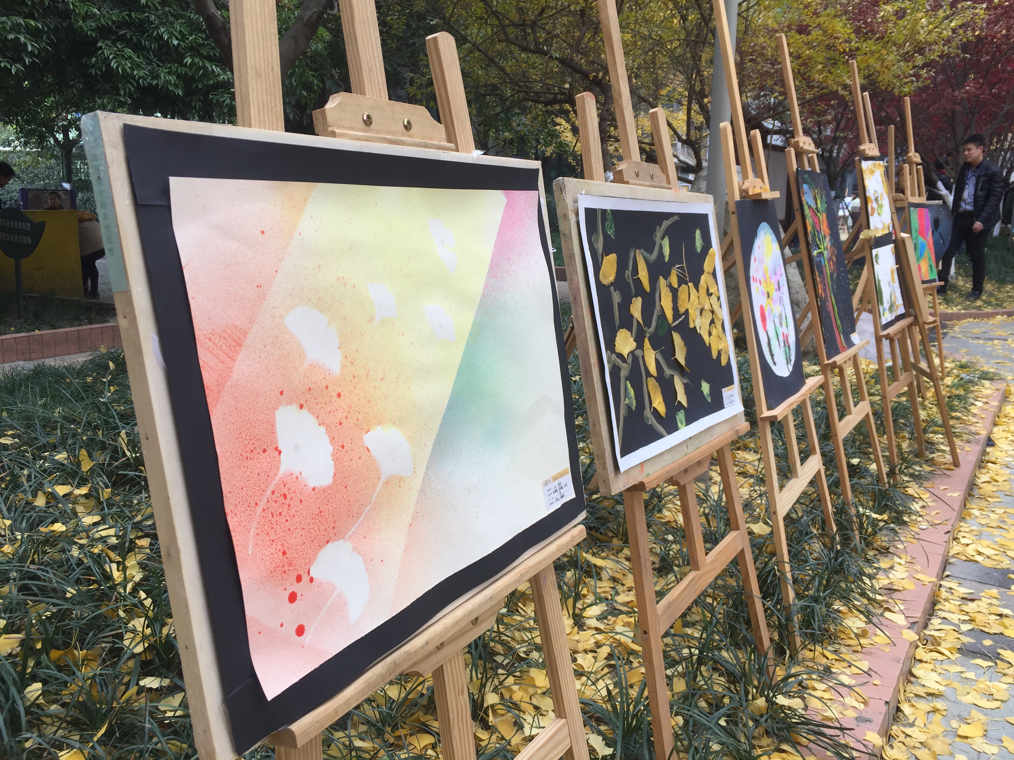 成都的银杏几月份最佳观赏期,成都银杏观赏指南