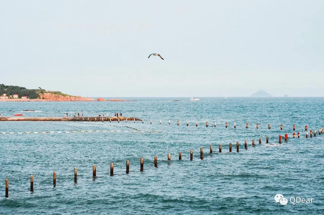 青岛最适宜旅游的景点有几个,青岛过年免费旅游景点